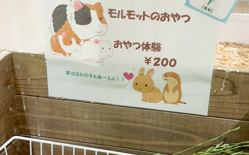 おやつは200円で購入も可能