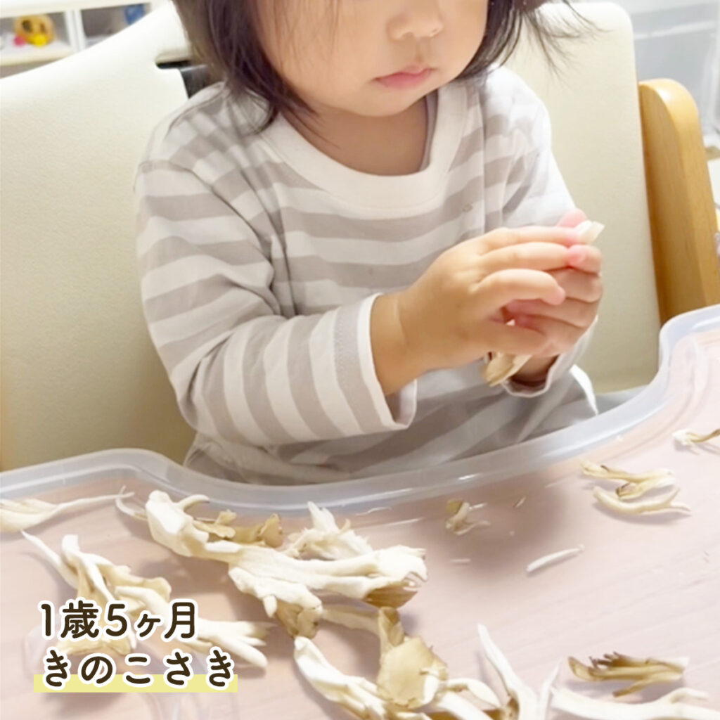 1歳5ヶ月 きのこさきのお手伝いの様子